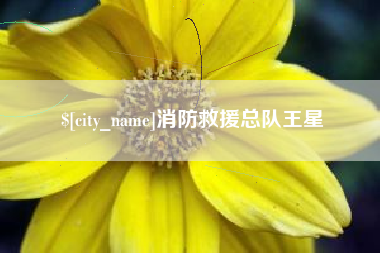 嵊州消防救援总队王星