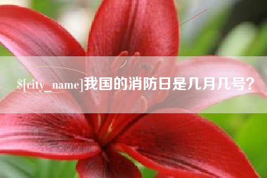 嵊州我国的消防日是几月几号？
