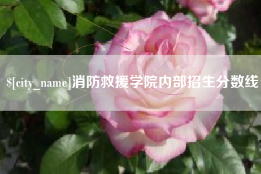 嵊州消防救援学院内部招生分数线