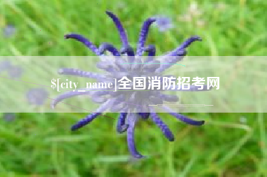 嵊州全国消防招考网