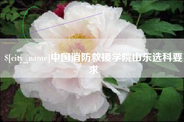 嵊州中国消防救援学院山东选科要求