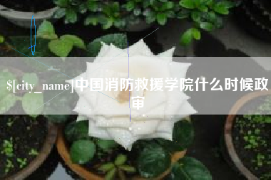嵊州中国消防救援学院什么时候政审