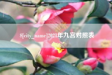 嵊州2021年九宫对照表