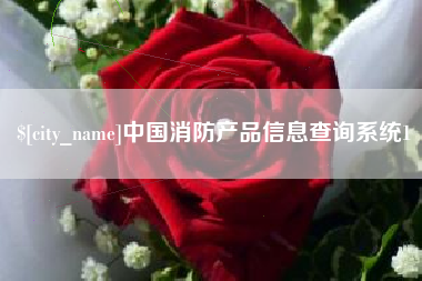 嵊州中国消防产品信息查询系统1