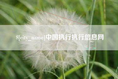 嵊州中国执行执行信息网