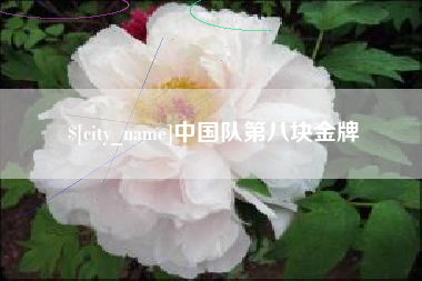 嵊州中国队第八块金牌