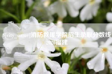 嵊州消防救援学院招生录取分数线2020福建
