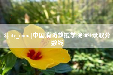 嵊州中国消防救援学院2021录取分数线