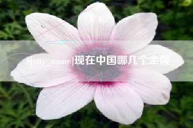 嵊州现在中国哪几个金牌
