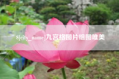 嵊州九宫格图片组图唯美