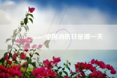 嵊州中国消防日是哪一天