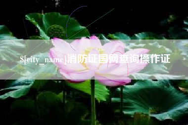 嵊州消防证国网查询操作证