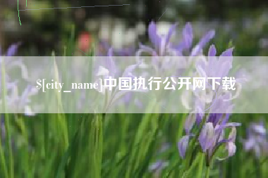 嵊州中国执行公开网下载