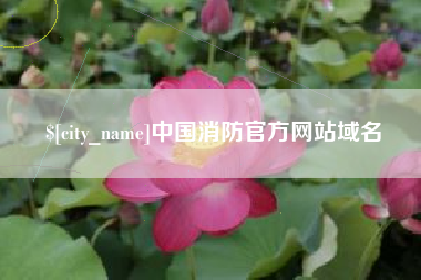 嵊州中国消防官方网站域名
