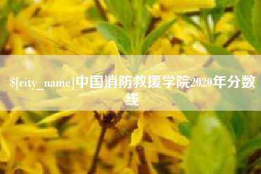 嵊州中国消防救援学院2020年分数线