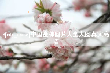 嵊州中国金牌图片大全大图真实高清