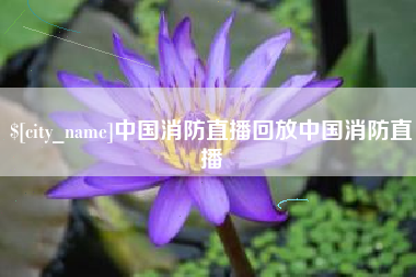 嵊州中国消防直播回放中国消防直播