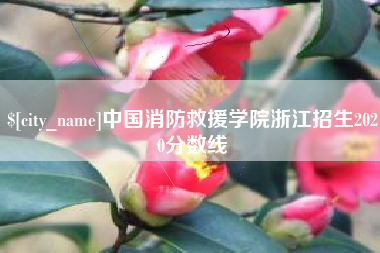嵊州中国消防救援学院浙江招生2020分数线