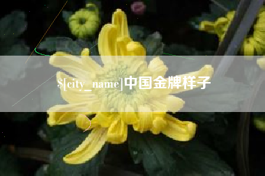 嵊州中国金牌样子