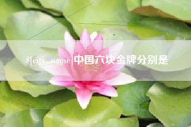 嵊州中国六块金牌分别是