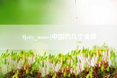 嵊州中国的几个金牌