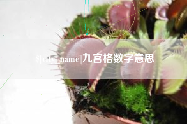 嵊州九宫格数字意思