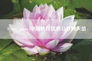嵊州中国执行信息公开网失信