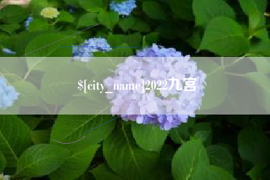 嵊州2022九宫