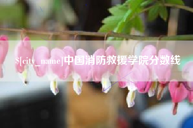 嵊州中国消防救援学院分数线