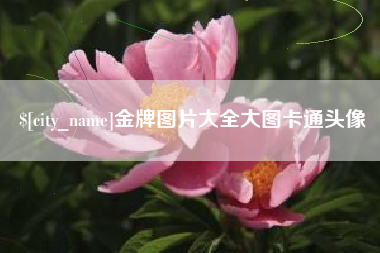 嵊州金牌图片大全大图卡通头像