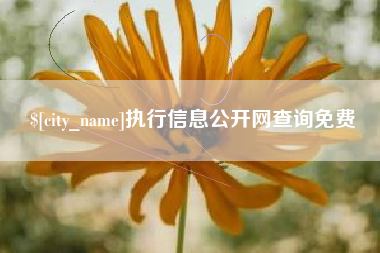 嵊州执行信息公开网查询免费
