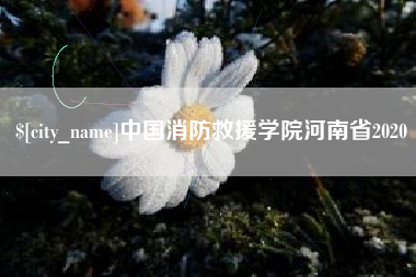 嵊州中国消防救援学院河南省2020