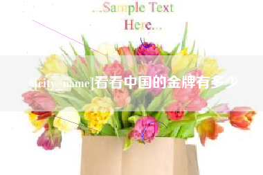 嵊州看看中国的金牌有多少